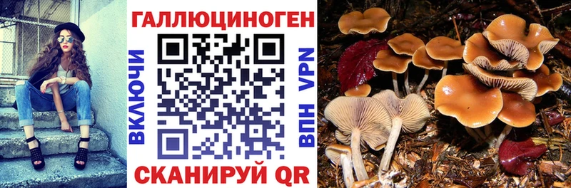 Псилоцибиновые грибы мухоморы  Кизляр 